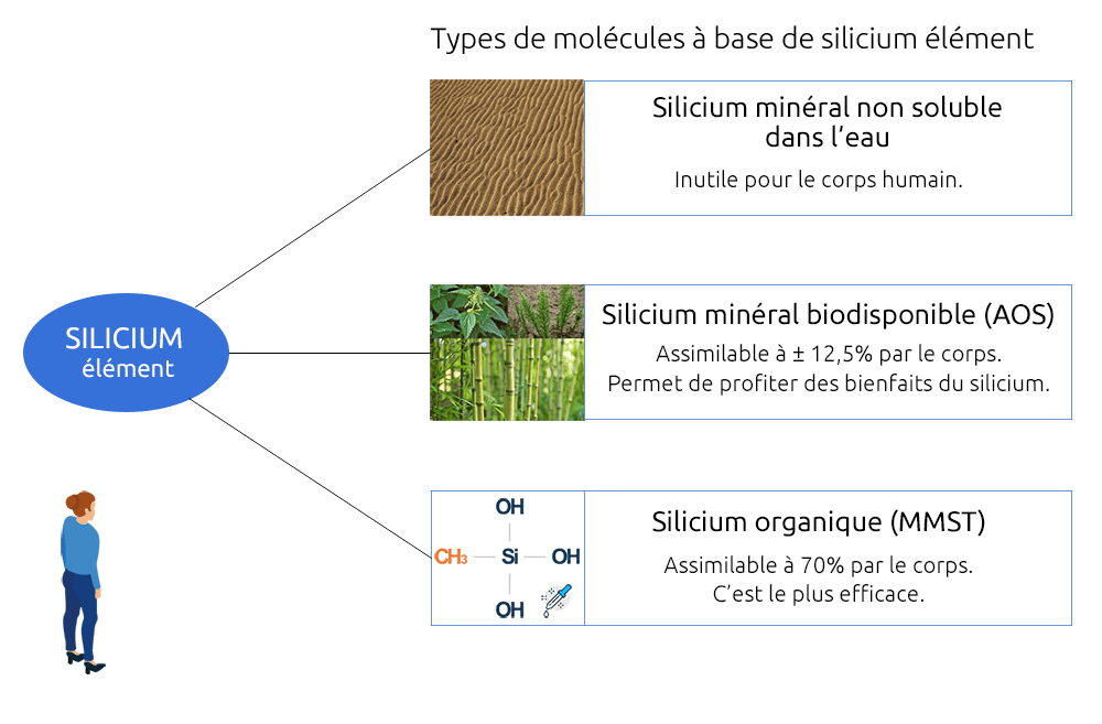 4 types de silicium